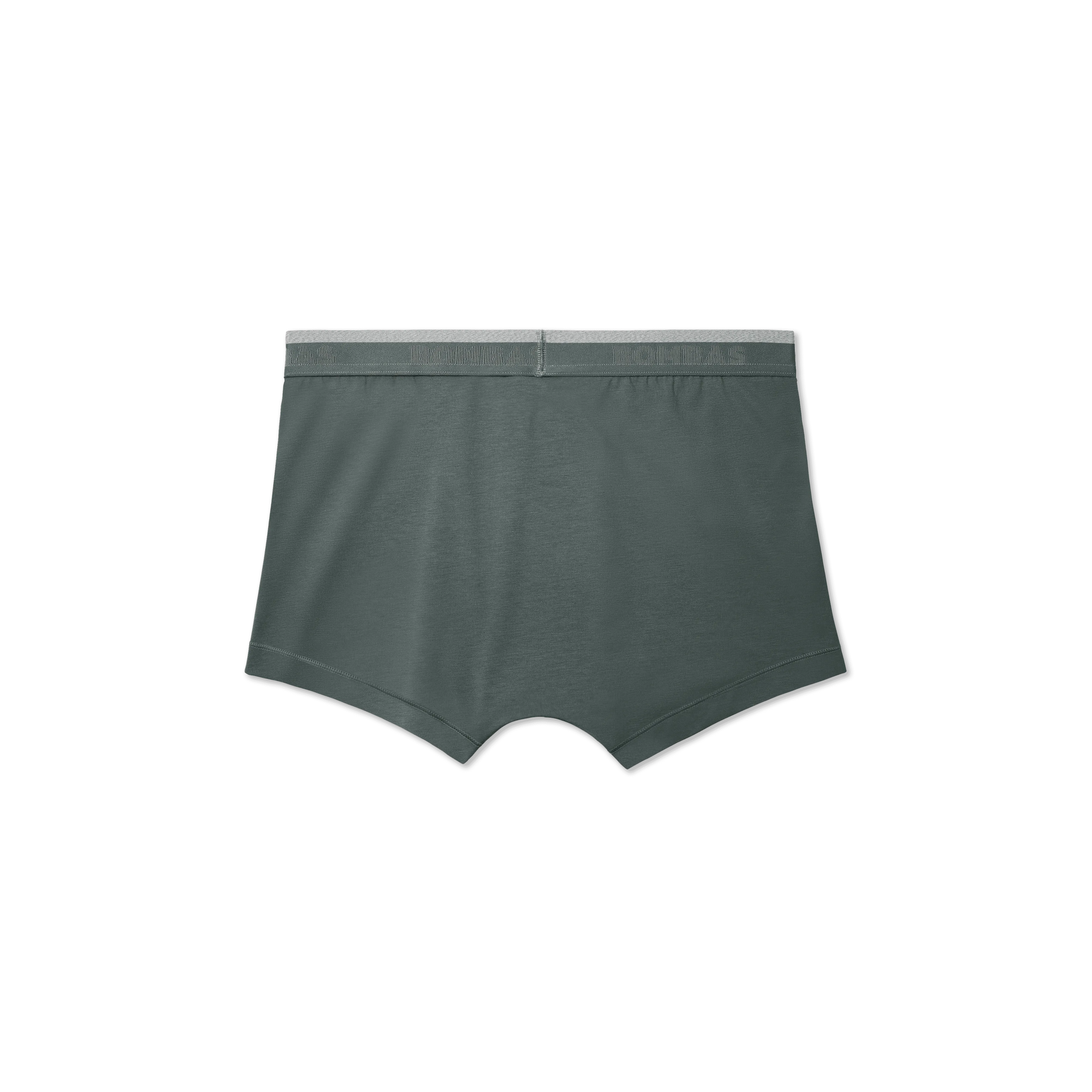 Men's Cotton Modal Blend Trunk