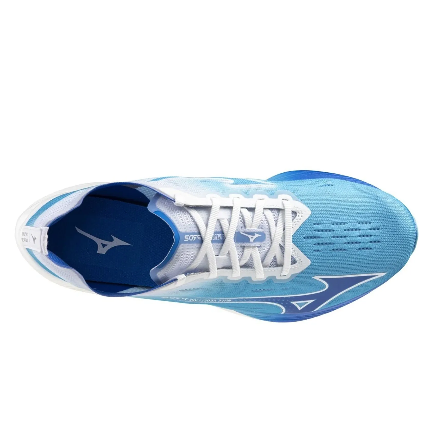 Mens Mizuno Wave Rebellion Pro 2