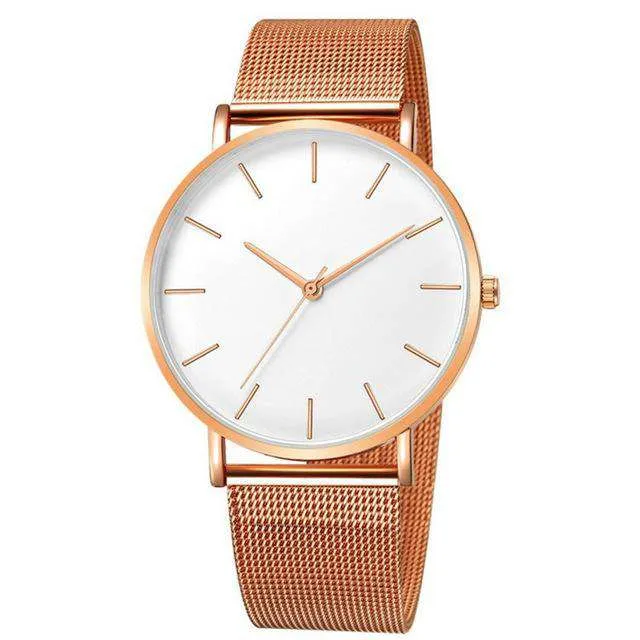 Simplicity Modern Quartz Watch Women Mesh Stainless Steel Bracelet High Quality Casual Wrist Watch for Woman Montre Femme D20